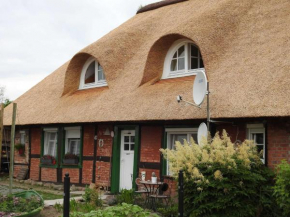 Urlaub unterm Reetdach, Demmin